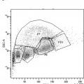 Ilustración 4 de Anticuerpo monoclonal para la detección de IgM totales y específicas de antígenos en pez cebra