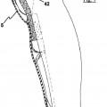Ilustración 6 de Elemento de protección para espinilla