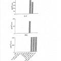 Ilustración 5 de Propiedades de coadyuvancia y potenciación inmunitaria de productos naturales de Onchocerca volvulus
