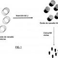 Ilustración 1 de Partículas de óxido metálico recubiertas, con baja tasa de disolución, procedimientos de preparación y utilización en sistemas electroquímicos