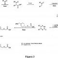 Ilustración 3 de Moduladores del receptor de prostaciclina (PGl2) útiles para el tratamiento de trastornos relacionados con los mismos