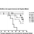 Ilustración 2 de Anticuerpos monoclonales contra la claudina-18 para el tratamiento del cáncer.