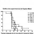 Ilustración 5 de Anticuerpos monoclonales contra la claudina-18 para el tratamiento del cáncer