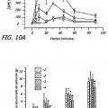 Ilustración 2 de Formulación en polvo seco inhalable que comprende GLP-1 para usar en el tratamiento de la hiperglucemia y diabetes por administración pulmonar.