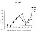 Ilustración 1 de FKBP-L y usos del mismo como inhibidor de la angiogénesis