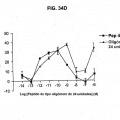 Ilustración 2 de FKBP-L y usos del mismo como inhibidor de la angiogénesis