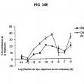 Ilustración 3 de FKBP-L y usos del mismo como inhibidor de la angiogénesis.