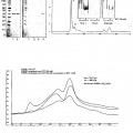 Ilustración 11 de FKBP-L y usos del mismo como inhibidor de la angiogénesis