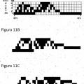 Ilustración 2 de Métodos para analizar secuencias de ácido nucleico monocatenario