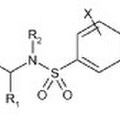 Imagen de 'Inhibidores selectivos de MMP-12 y MMP-13 basados en ácido hidroxámico'
