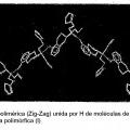 Ilustración 3 de Forma polimórfica de rotigotina.