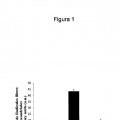 Ilustración 1 de Uso de la metformina y derivados con actividad como inductores de la fosforilación de AMPK para el tratamiento de la fibromialgia.