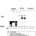 Ilustración 9 de Composición farmacéutica para terapia de reemplazo enzimático