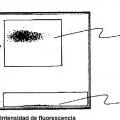 Ilustración 5 de Material de referencia para un analizador de partículas.