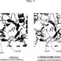 Ilustración 9 de Nueva enzima altamente funcional que tiene especificidad de sustrato modificada