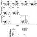 Ilustración 3 de ARN de interferencia para el tratamiento del Síndrome Linfoproliferativo Autoinmune de tipo la.