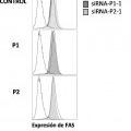 Ilustración 4 de ARN de interferencia para el tratamiento del Síndrome Linfoproliferativo Autoinmune de tipo la.