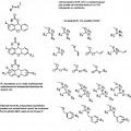 Ilustración 3 de Nucleótidos modificados para secuenciación de polinucleótidos