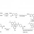 Ilustración 1 de Compuestos de hidroxiamidina e hidroxiguanidina como inhibidores de uroquinasa