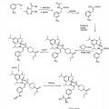 Ilustración 3 de Compuestos de hidroxiamidina e hidroxiguanidina como inhibidores de uroquinasa