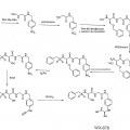 Ilustración 4 de Compuestos de hidroxiamidina e hidroxiguanidina como inhibidores de uroquinasa