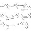 Ilustración 6 de Compuestos de hidroxiamidina e hidroxiguanidina como inhibidores de uroquinasa