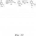 Ilustración 10 de Análogos de combretastatina con actividad de unión a tubulina