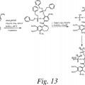 Ilustración 12 de Análogos de combretastatina con actividad de unión a tubulina
