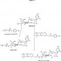 Ilustración 2 de Proceso mejorado para la producción de azúcares de nucleótido.