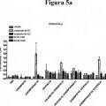 Ilustración 2 de Proteína E1E2 del VHC adyuvantada con MF59 más vector de alfavirus que codifica E1E2 del VHC para provocar linfocitos T específicos del VHC
