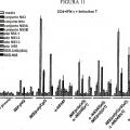 Ilustración 9 de Proteína E1E2 del VHC adyuvantada con MF59 más vector de alfavirus que codifica E1E2 del VHC para provocar linfocitos T específicos del VHC