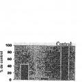 Ilustración 12 de Proteína E1E2 del VHC adyuvantada con MF59 más vector de alfavirus que codifica E1E2 del VHC para provocar linfocitos T específicos del VHC