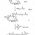 Ilustración 2 de Métodos para la preparación de conjugados citotóxicos de maitansinoides y agentes que se fijan a las células