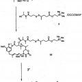 Ilustración 5 de Métodos para la preparación de conjugados citotóxicos de maitansinoides y agentes que se fijan a las células