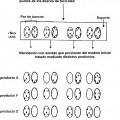 Ilustración 3 de Detección sistemática diferencial cualitativa
