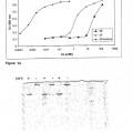 Ilustración 8 de Anticuerpos de dominio simple dirigidos contra factor de necrosis tumoral-alfa y usos para los mismos