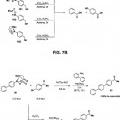 Ilustración 5 de Sistema para controlar la reactividad de los ácidos borónicos