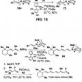 Ilustración 10 de Sistema para controlar la reactividad de los ácidos borónicos
