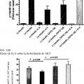 Ilustración 12 de Anticuerpos anti-IL-6, compuestos métodos y usos