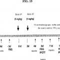 Ilustración 18 de Anticuerpos anti-IL-6, compuestos métodos y usos