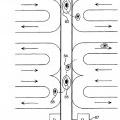 Ilustración 10 de Método y sistema de clasificación celular por expulsión acústica focalizada