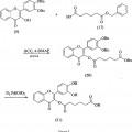 Ilustración 5 de Compuestos flavonoides y usos de los mismos
