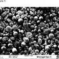 Imagen de 'Mezclas de poliamida-elastómero resistentes a la hidrólisis,…'