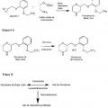 Ilustración 2 de Métodos para producir sales de viloxazina y polimorfos novedosos de las mismas.