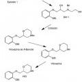 Ilustración 3 de Métodos para producir sales de viloxazina y polimorfos novedosos de las mismas.