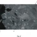 Ilustración 2 de Sistema y método de detección de parásitos Anisakis en filetes de pescado