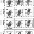 Ilustración 8 de Métodos y composiciones para el tratamiento de defectos óseos con poblaciones de células placentarias