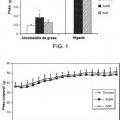Ilustración 1 de Proteína E4orf1 de adenovirus Ad36 para prevención y tratamiento de enfermedad de hígado graso no alcohólico.