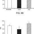 Ilustración 10 de Proteína E4orf1 de adenovirus Ad36 para prevención y tratamiento de enfermedad de hígado graso no alcohólico