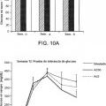 Ilustración 13 de Proteína E4orf1 de adenovirus Ad36 para prevención y tratamiento de enfermedad de hígado graso no alcohólico